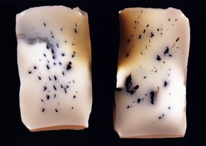 Uten tittel (dobbeltstudie), 2001 av Richard Green