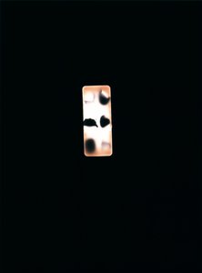 Uten tittel, 2004 (unikt c-type fotogram)