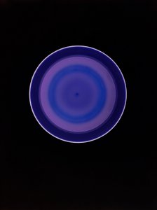 Uten tittel, 2004 av Richard Green