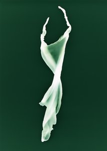 Uten tittel, 2004 av Richard Green
