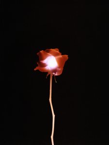 Uten tittel, 2007 av Richard Green