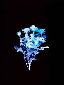Uten tittel, 2008 av Richard Green