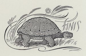 Hare And The Tortoise (gravering) av Richard Heighway