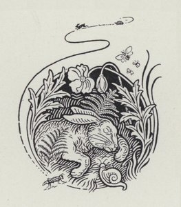 Haren og skilpadden (gravering) av Richard Heighway