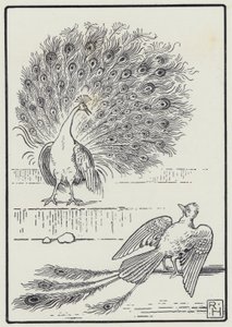 Jay And The Peacock (gravering)