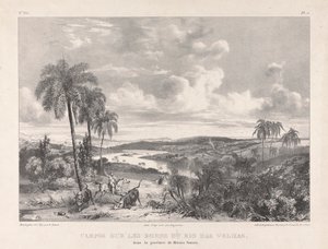 Campos sur les bords i Rio das Velhas av Richard Parkes Bonington