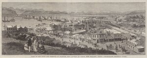 En del av byen og havnen i Dunedin, hovedstaden i Otago, New Zealand