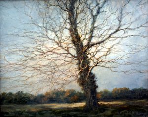 Solbelyst tre