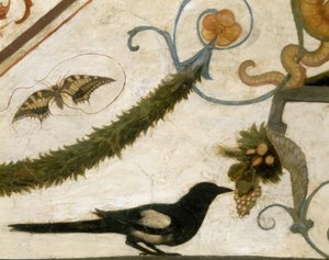 R.Ghirlandaio, Groteske, Vogel