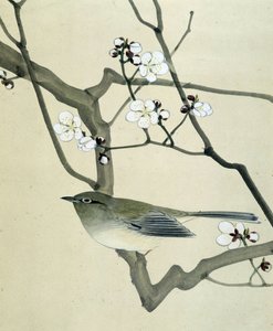 Fugl - japansk tegning av Riou Chim, sent på 1800-tallet av Riu Chim