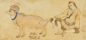 Studie av en ung mann og en vær, 1630-31 eller senere