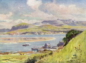 Carnarvon, fra Anglesey (farge litho) av Robert (after) Fowler