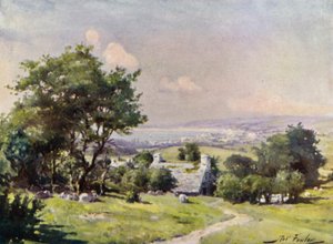 Fjernsyn over Carnarvon Bay (farge litho) av Robert (after) Fowler
