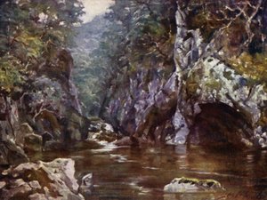 Fairy Glen, Bettws-y-Coed (litho-farge) av Robert (after) Fowler