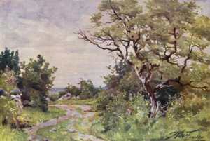 Field Path, nær Llanrug (farge litho) av Robert (after) Fowler