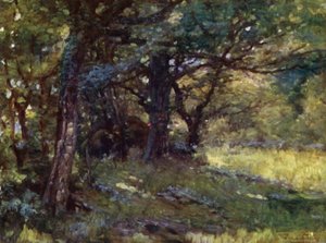 In the Woods, Berwyn (farge litho)