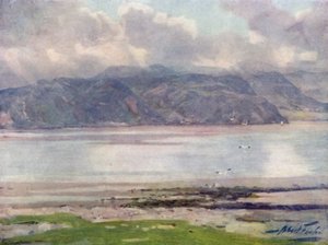 Nær Menai-stredet (fargestein)
