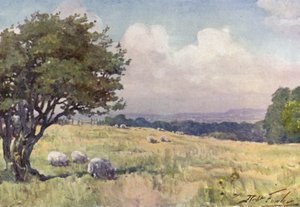 Sunny Field, nær Llanberis (farge litho) av Robert (after) Fowler