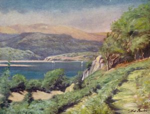 Tordent vær, nær Dolgelly (farge litho)