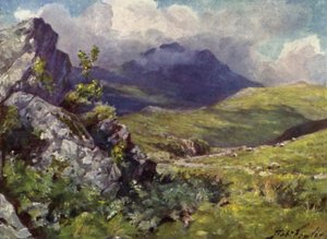 Utsikt over Moelwyn (farge litho) av Robert (after) Fowler