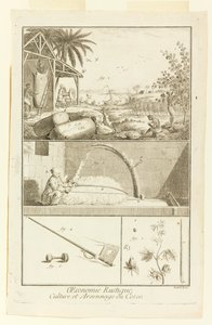 "Cultivation et Arsonnage du Coton" fra Diderot