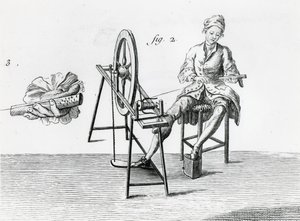 Rustikk økonomi, bomull, fra Encyclopedia av Denis Diderot 1713-84 gravering bw fotodetalj av 164438 av Robert Benard