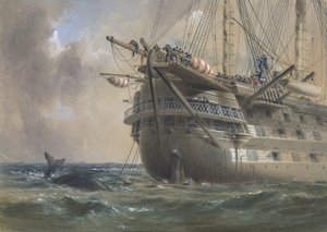 H.M.S. Agamemnon legger den atlantiske telegrafkabelen i 1858: en hval krysser linjen, 1865-66.