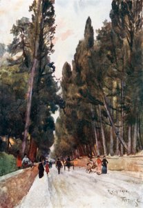 Utsikt nedover Cypress Avenue i Poggio Imperiale, på veien til Arcetri (fargelitografi) av Robert Charles Goff