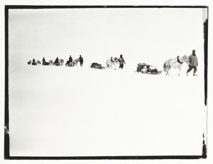 Ponnier på marsj, Great Ice Barrier, 2. desember