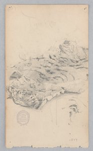 Teppe i tigerskinn av Robert Frederick Blum