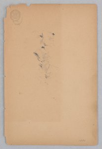 Kvinne av Robert Frederick Blum
