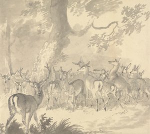 Studie av en hjort: Hjort i forgrunnen med en gruppe husdyr under et tre av Robert Hills