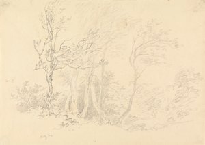 Studie av et Holly Tree av Robert Hills
