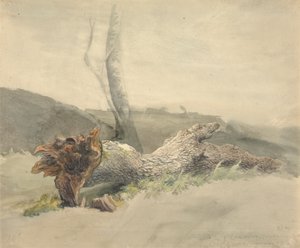 Det falne treet av Robert Hills