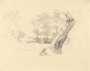Trestudie av Robert Hills