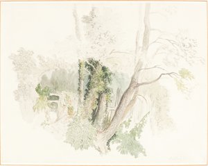 Trær på Beddington av Robert Hills