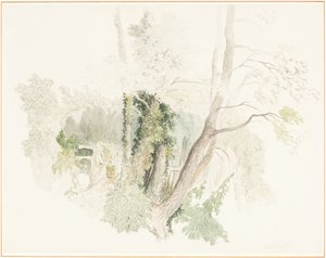  av Robert Hills