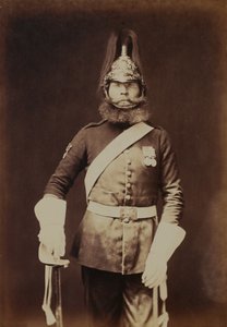 Rough-Rider Macnamara, 5. (Prinsesse Charlotte av Wales) Dragoon Guards av Robert Howlett
