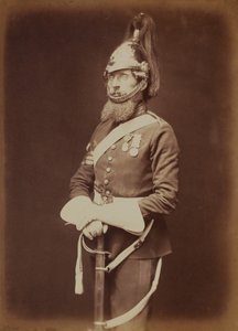 Sersjant-major Bailey, 1st Royal Dragoon Guards