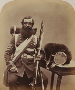 Sersjant Knapp, Coldstream Guards av Robert Howlett