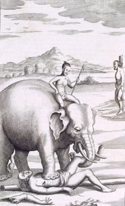 En henrettelse av en elefant, pub. 1681. av Robert Knox