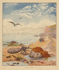 The Kitten Pilgrims: Octopus Untruth (farge litho) av Robert Michael Ballantyne