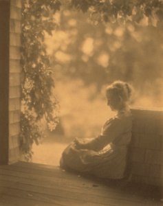 September Sun av Dwight A. Davis av Robert Peckham