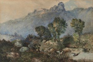 Landskap med stokkand av Robert Scott Temple