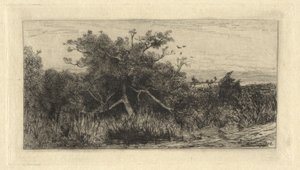 knudrete tre