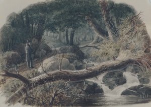  av Robert Walter Weir