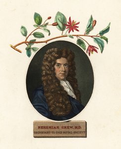 Portrett av Nehemiah Grew, lege og botaniker.1809 (gravering)