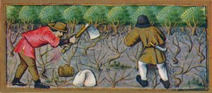 mars - arbeider i vingården, 1400-tallet, 1939.