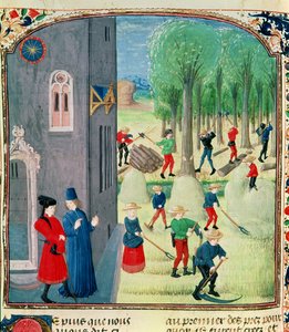 Ms. Lat 1173 Høskjæring og treskjæring, fra Charles d'Angoulemes timer, ca. 1480