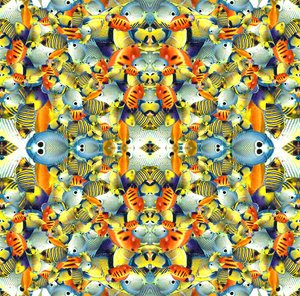 Kaleidoscope Fish Tile